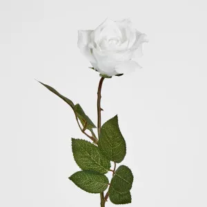 Long Stem Rose Pure White by Florabelle Living, a Plants for sale on Style Sourcebook