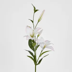 Sunshine Lily Light Pink by Florabelle Living, a Plants for sale on Style Sourcebook