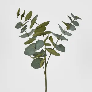 Grey Green Eucalyptus Spray by Florabelle Living, a Plants for sale on Style Sourcebook