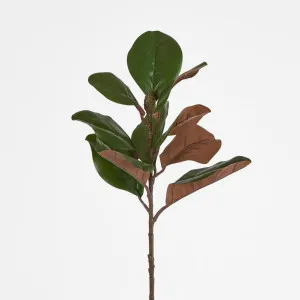 Southern Magnolia Branch with 30 Leaves by Florabelle Living, a Plants for sale on Style Sourcebook
