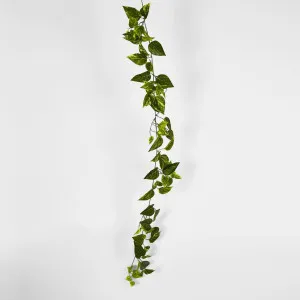 5ft Green Yellow Pothos Garland UV Protected by Florabelle Living, a Christmas for sale on Style Sourcebook