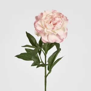 Single Peony with 4 Leaves Soft Pink 66CM by Florabelle Living, a Plants for sale on Style Sourcebook