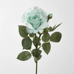 Colin Rose Set of Two 64CM Mint by Florabelle Living, a Plants for sale on Style Sourcebook