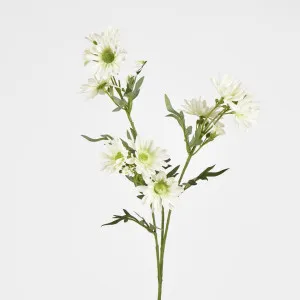 Daisy Spray 74CM White by Florabelle Living, a Plants for sale on Style Sourcebook