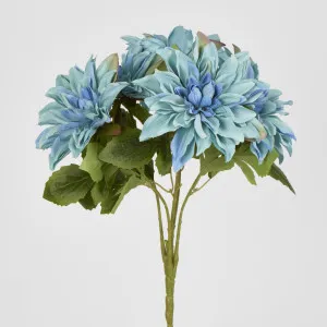 Blue Dahlia Bush x 5 by Florabelle Living, a Plants for sale on Style Sourcebook