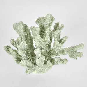 Marly Green Coral 21X19X14CM by Florabelle Living, a Statues & Ornaments for sale on Style Sourcebook