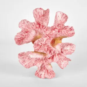 Pearl Pink Coral 15X12X5CM by Florabelle Living, a Statues & Ornaments for sale on Style Sourcebook