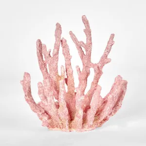 Shelley Pink Coral 15X9X16CM by Florabelle Living, a Statues & Ornaments for sale on Style Sourcebook