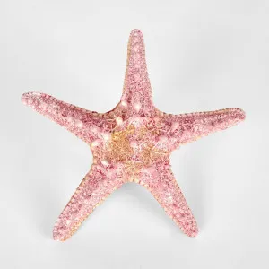 Sale Pink Starfish 15X15X4CM by Florabelle Living, a Statues & Ornaments for sale on Style Sourcebook