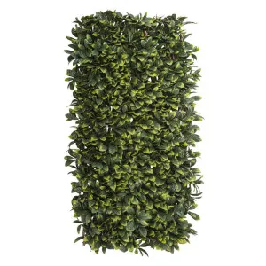Laurel Trellis UV Treated 1x2m by Florabelle Living, a Plants for sale on Style Sourcebook