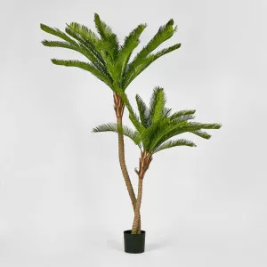 Cycus Palm 1.5M with 2058 Leaves by Florabelle Living, a Plants for sale on Style Sourcebook