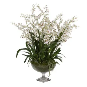 Nicky Dancing Orchid Arrangement by Florabelle Living, a Plants for sale on Style Sourcebook