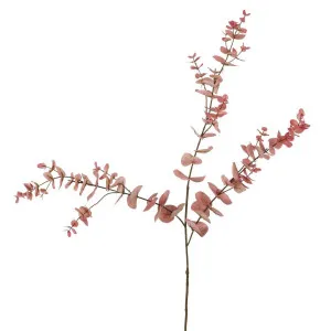 Eucalyptus Spray 92cm Pink by Florabelle Living, a Plants for sale on Style Sourcebook