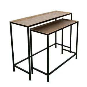 Nada Console Set of 2 Gold -Outdoor by Florabelle Living, a Console Table for sale on Style Sourcebook