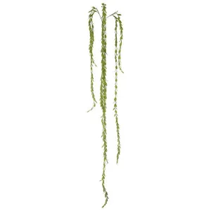 Gum Hanging Spray 1.75m by Florabelle Living, a Plants for sale on Style Sourcebook