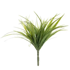 Grass Plant 34cm Light Green by Florabelle Living, a Plants for sale on Style Sourcebook