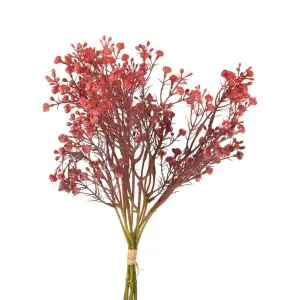 Baby's Breath Bundle Pink by Florabelle Living, a Plants for sale on Style Sourcebook