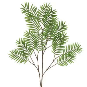 Chamedorea Leaf Spray 160cm Green by Florabelle Living, a Plants for sale on Style Sourcebook