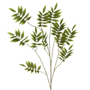 Sorbus Leaf Spray 159cm Green by Florabelle Living, a Plants for sale on Style Sourcebook
