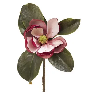 Magnolia Short Stem 60cm Dark Pink by Florabelle Living, a Plants for sale on Style Sourcebook