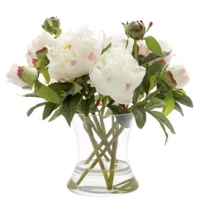 Peony in Water in Glass Vase White by Florabelle Living, a Plants for sale on Style Sourcebook