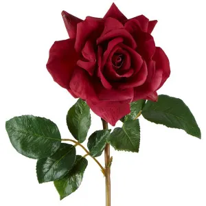 Rose True Touch Stem 50cm Plum by Florabelle Living, a Plants for sale on Style Sourcebook