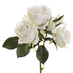 Rose Short Stem Two Buds 40cm Cream by Florabelle Living, a Plants for sale on Style Sourcebook