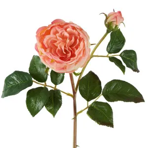 Cabbage Real Touch Rose Stem 49cm Coral by Florabelle Living, a Plants for sale on Style Sourcebook
