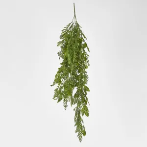 Hanging Fern Leaf Combo by Florabelle Living, a Plants for sale on Style Sourcebook