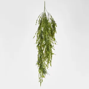 Hanging Amaranthus grass by Florabelle Living, a Plants for sale on Style Sourcebook