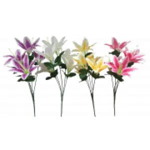 Tiger lily Bush Sold in Box Qty Only by Florabelle Living, a Plants for sale on Style Sourcebook