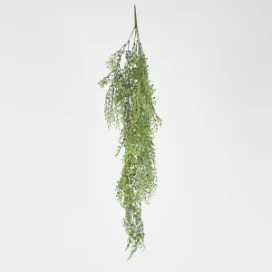 Green Hanging Boxwood by Florabelle Living, a Plants for sale on Style Sourcebook