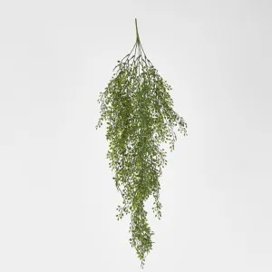 Light Green Hanging Boxwood by Florabelle Living, a Plants for sale on Style Sourcebook