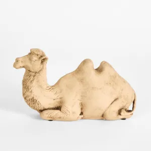 Alice the Camel Sitting Terracotta by Florabelle Living, a Statues & Ornaments for sale on Style Sourcebook