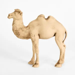 Alice the Camel Standing Terracotta by Florabelle Living, a Statues & Ornaments for sale on Style Sourcebook
