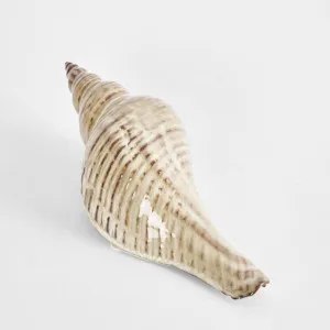 Conch Shell by Florabelle Living, a Statues & Ornaments for sale on Style Sourcebook