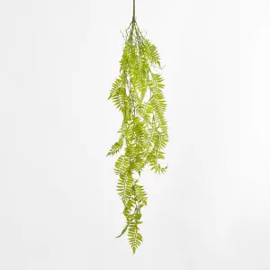 Hanging Fern by Florabelle Living, a Plants for sale on Style Sourcebook