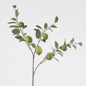 Lime Branch Spray x 6 Limes with Leaves by Florabelle Living, a Plants for sale on Style Sourcebook