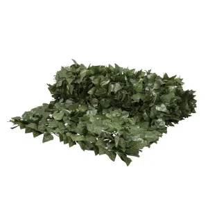 Ivy Fence Roll UV Treated 1x3m by Florabelle Living, a Plants for sale on Style Sourcebook