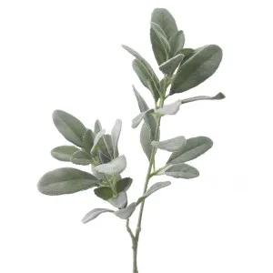 Flocked Lambs Ear leaf Spray 70cm Green by Florabelle Living, a Plants for sale on Style Sourcebook