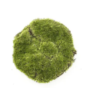 Moss Pad 20cm Green by Florabelle Living, a Plants for sale on Style Sourcebook