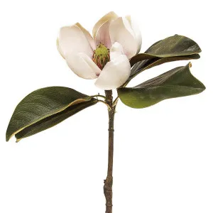 Magnolia Short Stem 60cm Light Pink by Florabelle Living, a Plants for sale on Style Sourcebook
