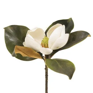 Magnolia Short Stem 60cm White by Florabelle Living, a Plants for sale on Style Sourcebook