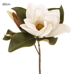 Magnolia Flower 72cm White by Florabelle Living, a Plants for sale on Style Sourcebook