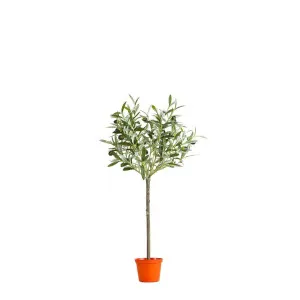 Olive Topiary 65cm by Florabelle Living, a Plants for sale on Style Sourcebook