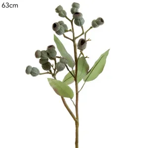 Eucalyptus Gumnut Spray 64cm Dark Green by Florabelle Living, a Plants for sale on Style Sourcebook