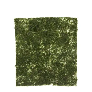 Moss Mat 45x40cm by Florabelle Living, a Plants for sale on Style Sourcebook