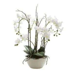 Orchid Real Touch 60cm in White Pot Silver Rim by Florabelle Living, a Plants for sale on Style Sourcebook