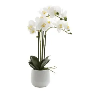Phalaenopsis Real Touch Gloss Ceramic Pot 60cm White by Florabelle Living, a Plants for sale on Style Sourcebook