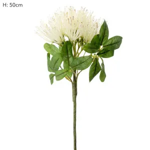 Wild Protea 50cm White by Florabelle Living, a Plants for sale on Style Sourcebook